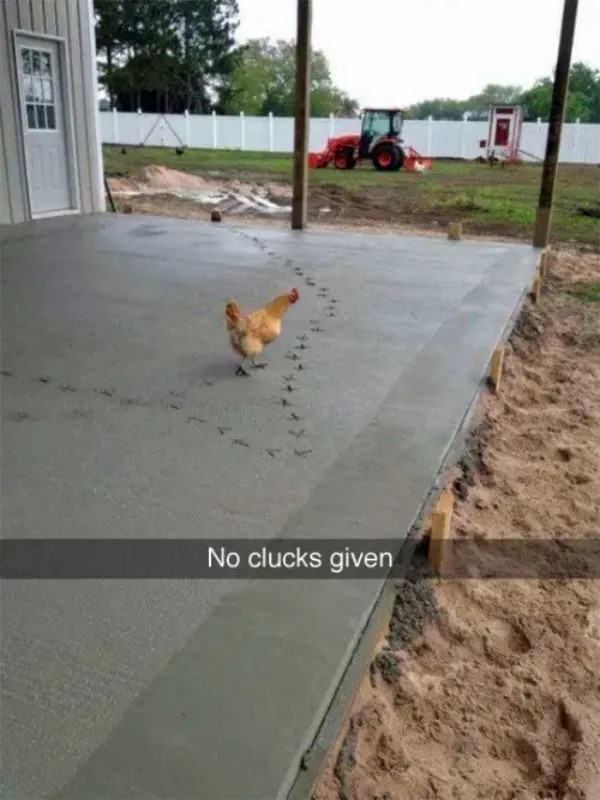 chive28.jpg