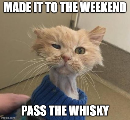 whiskey.jpg