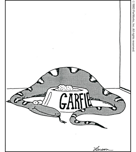 Garfield.png