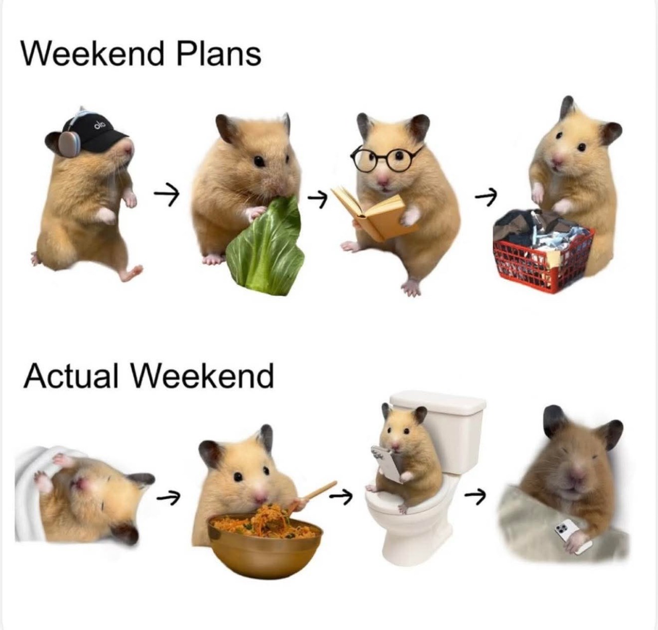 Weekend-plans.jpeg