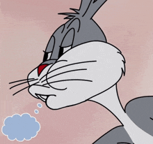 IMG_3692.gif