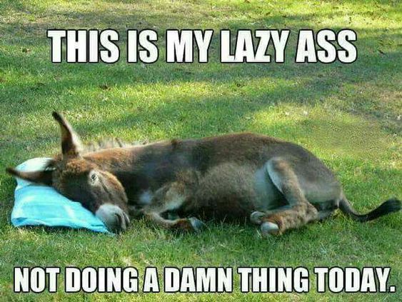 This-is-my-lazy-ass-today.jpg
