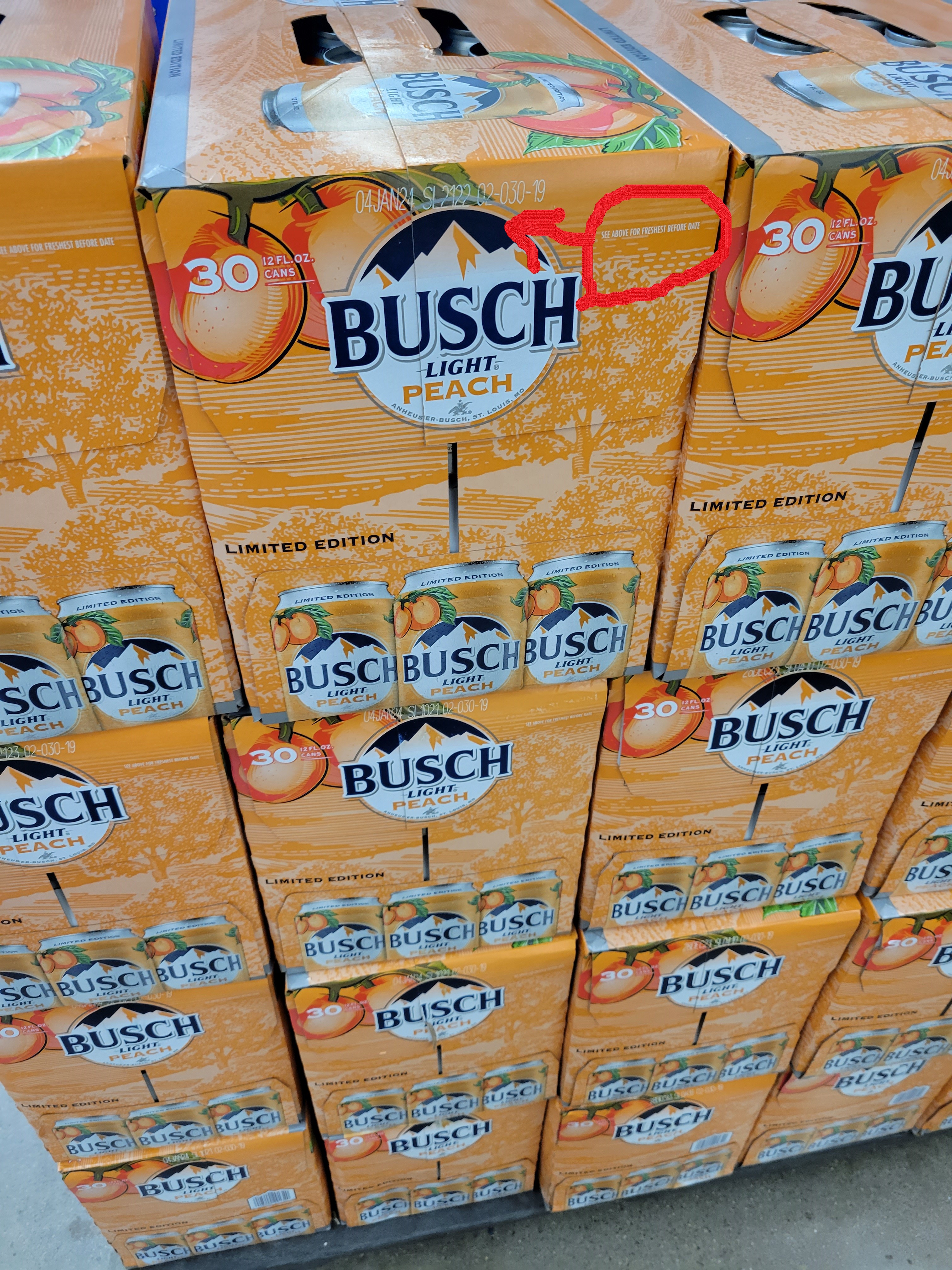 busch light.jpg