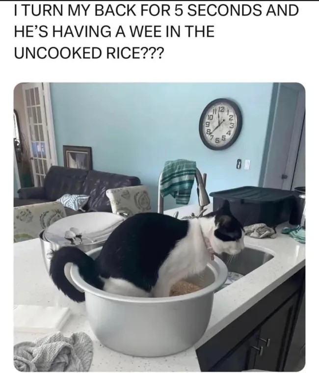 bhjyg1.jpg