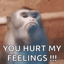 image.gif
