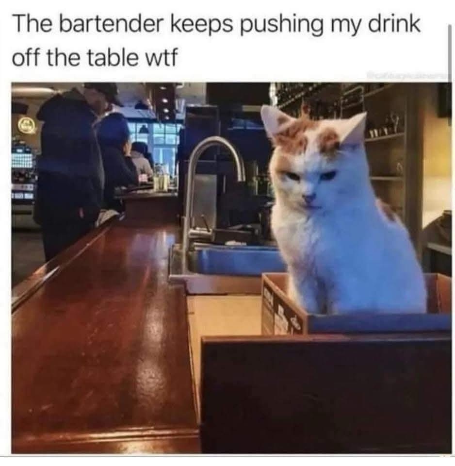 bartender.jpeg