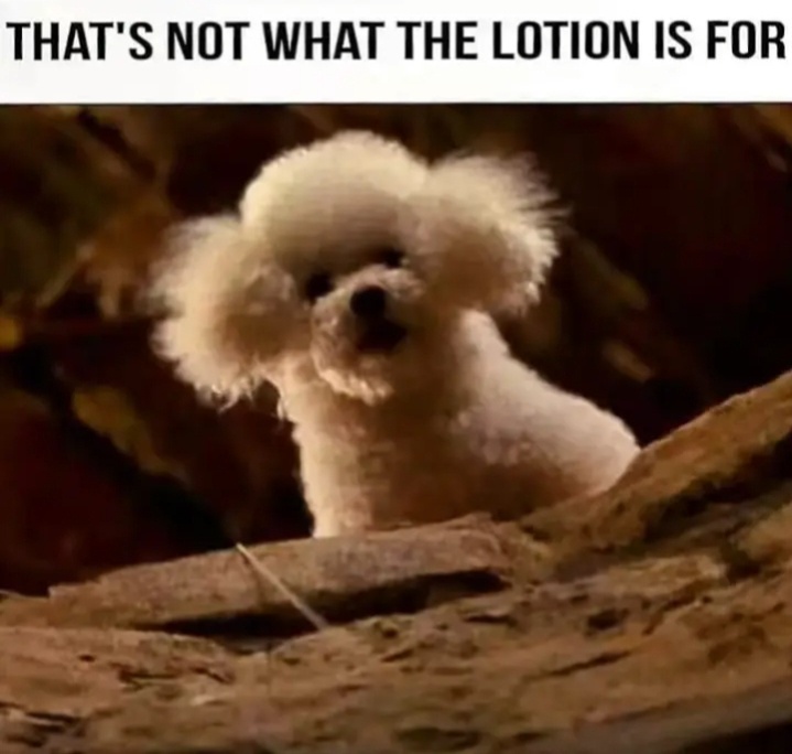 lotion.jpeg