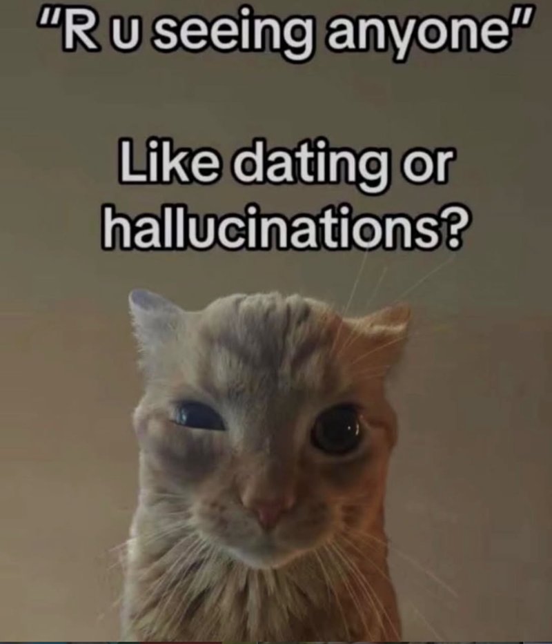 IMG_0004.jpeg