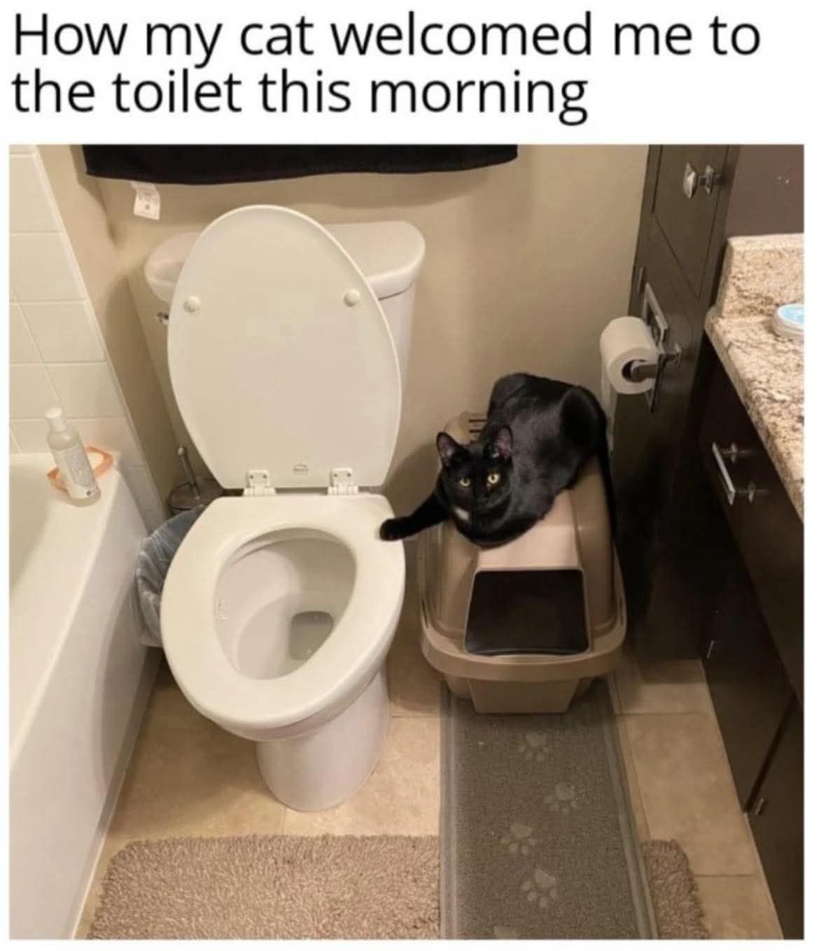 welcomed-me.jpeg