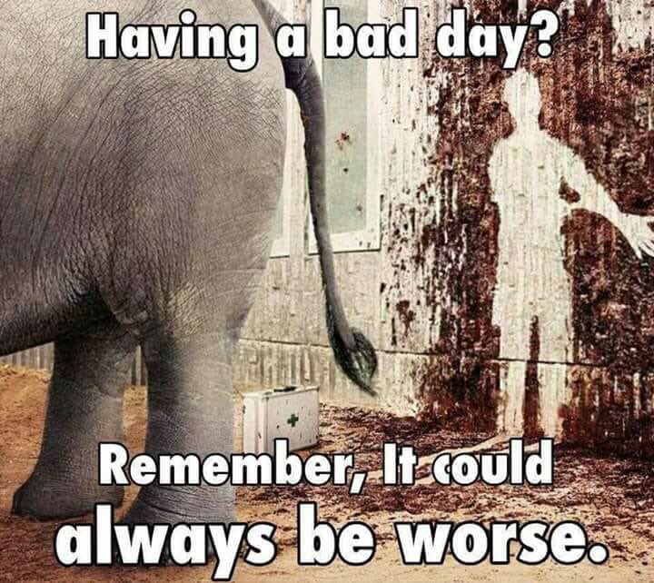 been-worse.jpg
