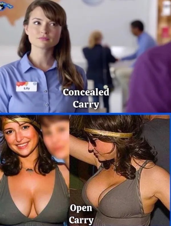 Concealed.jpg
