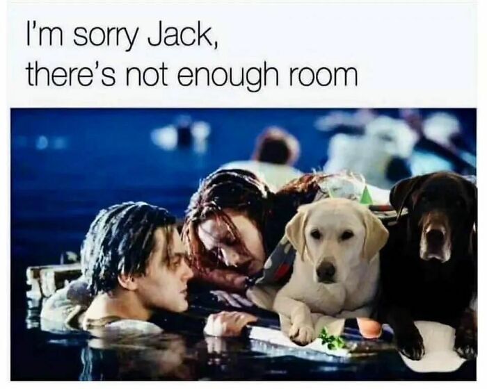 Im-sorry-jac.jpg