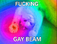IMG_3653.gif