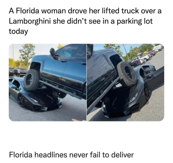 chive23.jpg