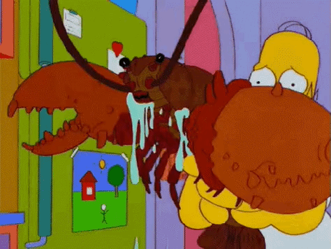bcfa26.gif