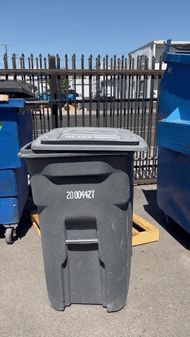 1000008771.gif