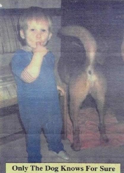 picdump_640_125.jpg