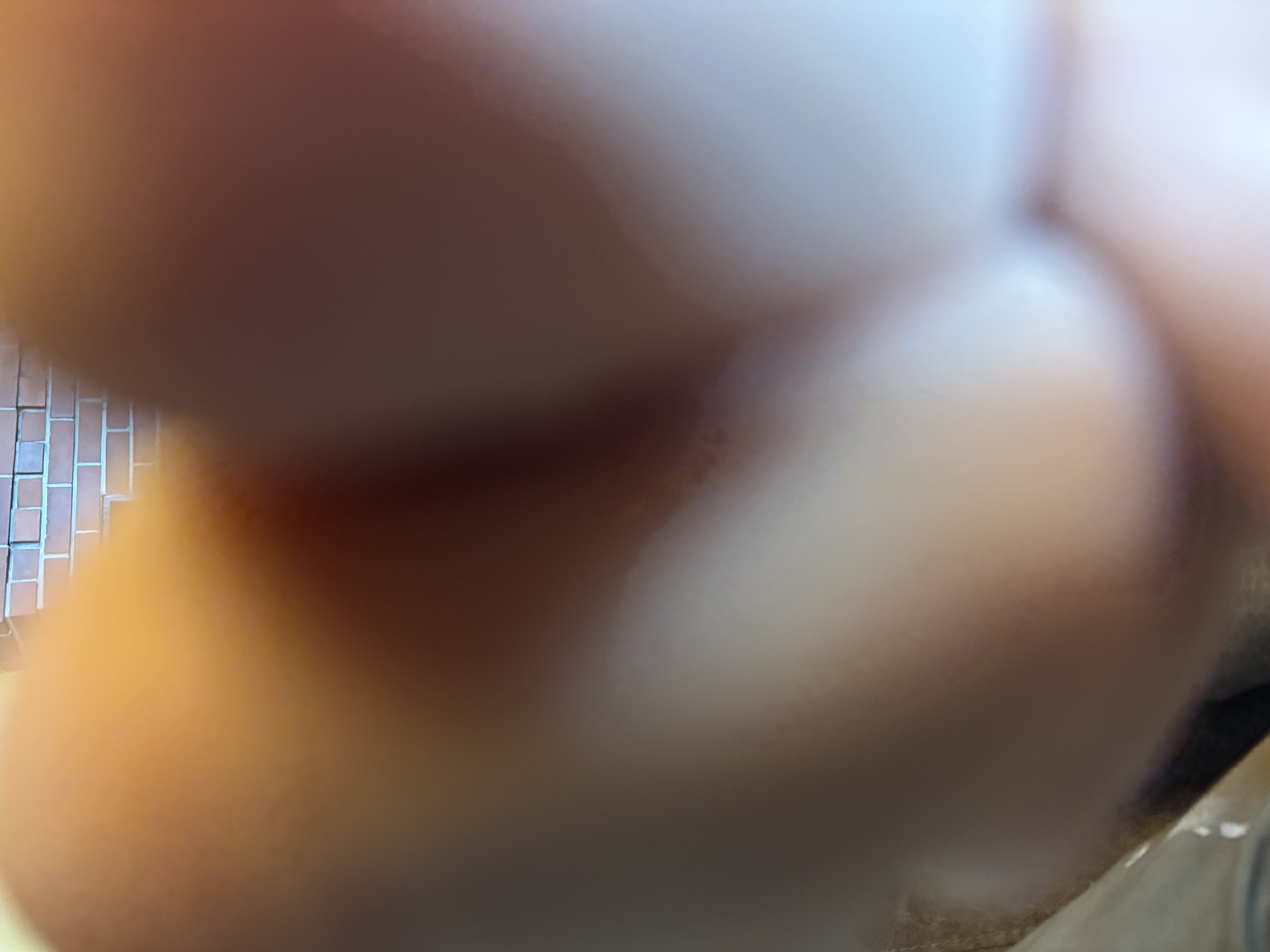 IMG_5879.jpeg