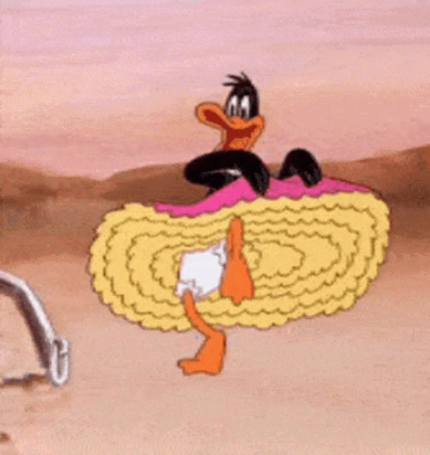 IMG_3733.gif