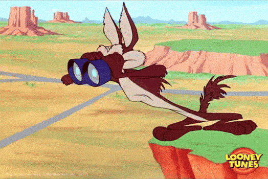 IMG_3732.gif