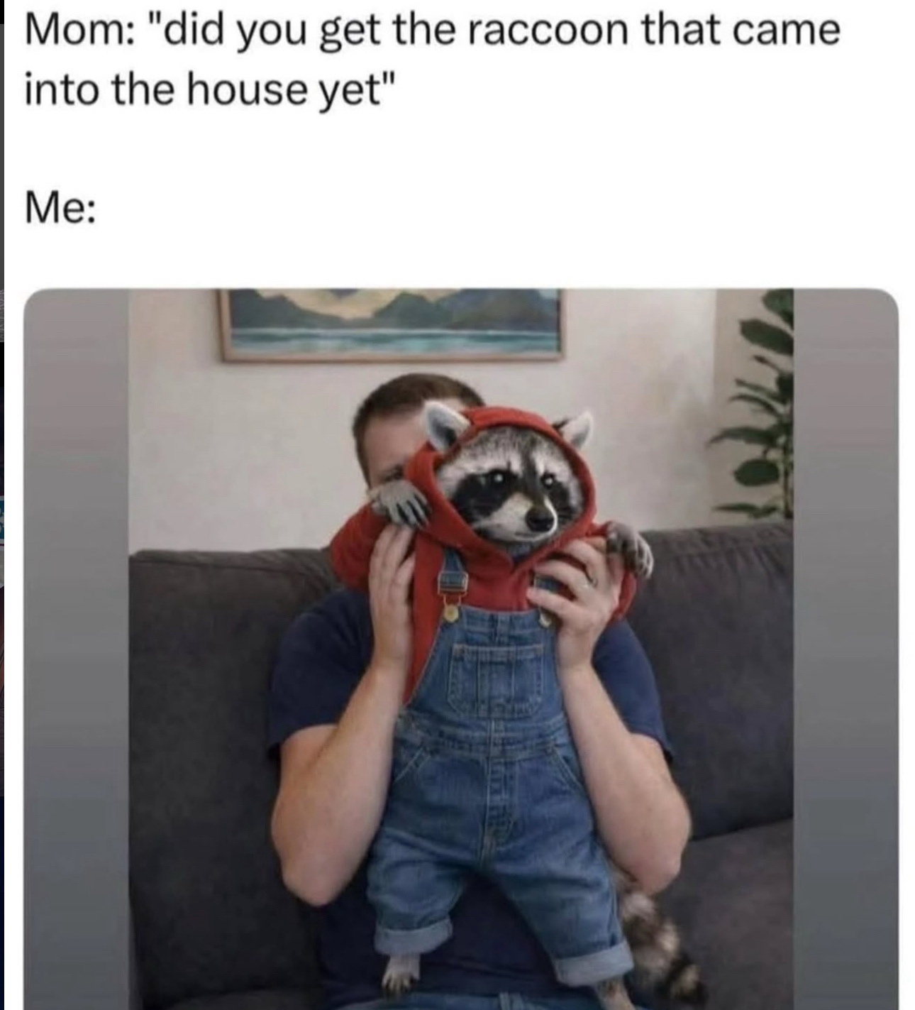 Did-you-get-the-racoon.jpeg