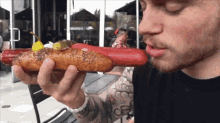IMG_3742.gif