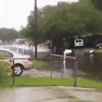 IMG_8827.gif