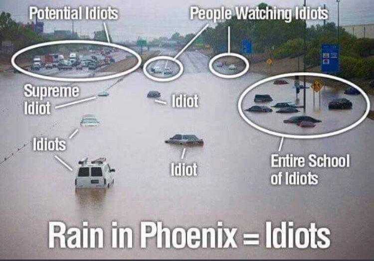 Idiots-season.jpeg