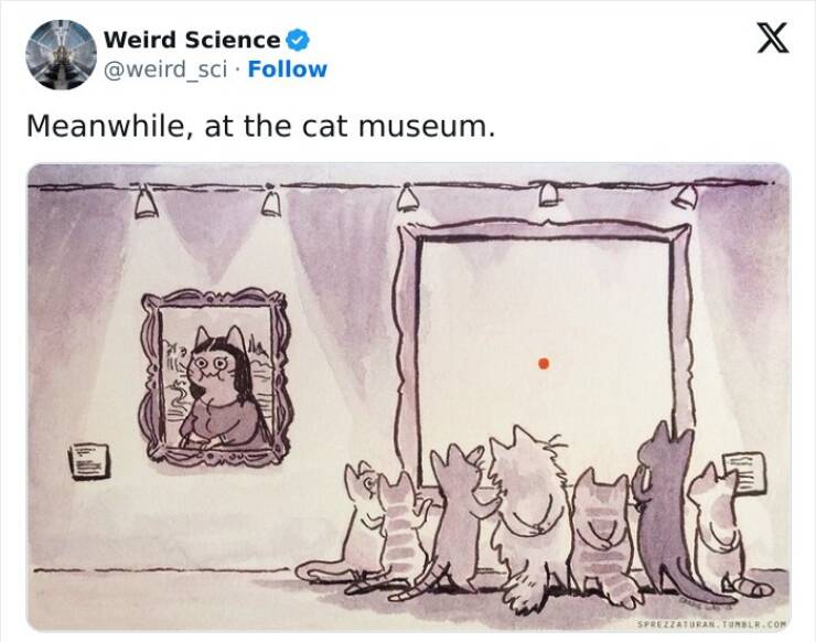 weird_04.jpg