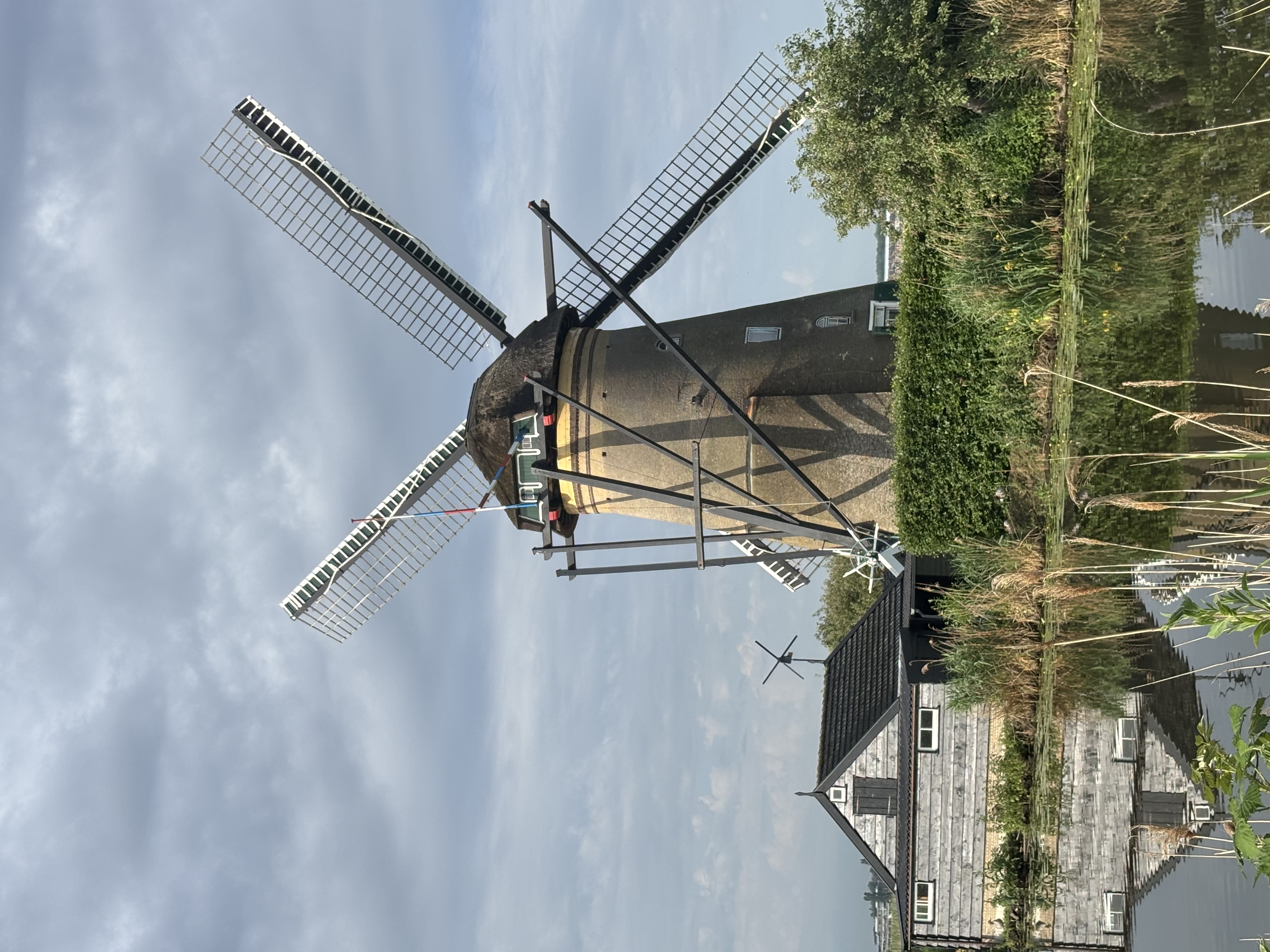IMG_5288.jpeg