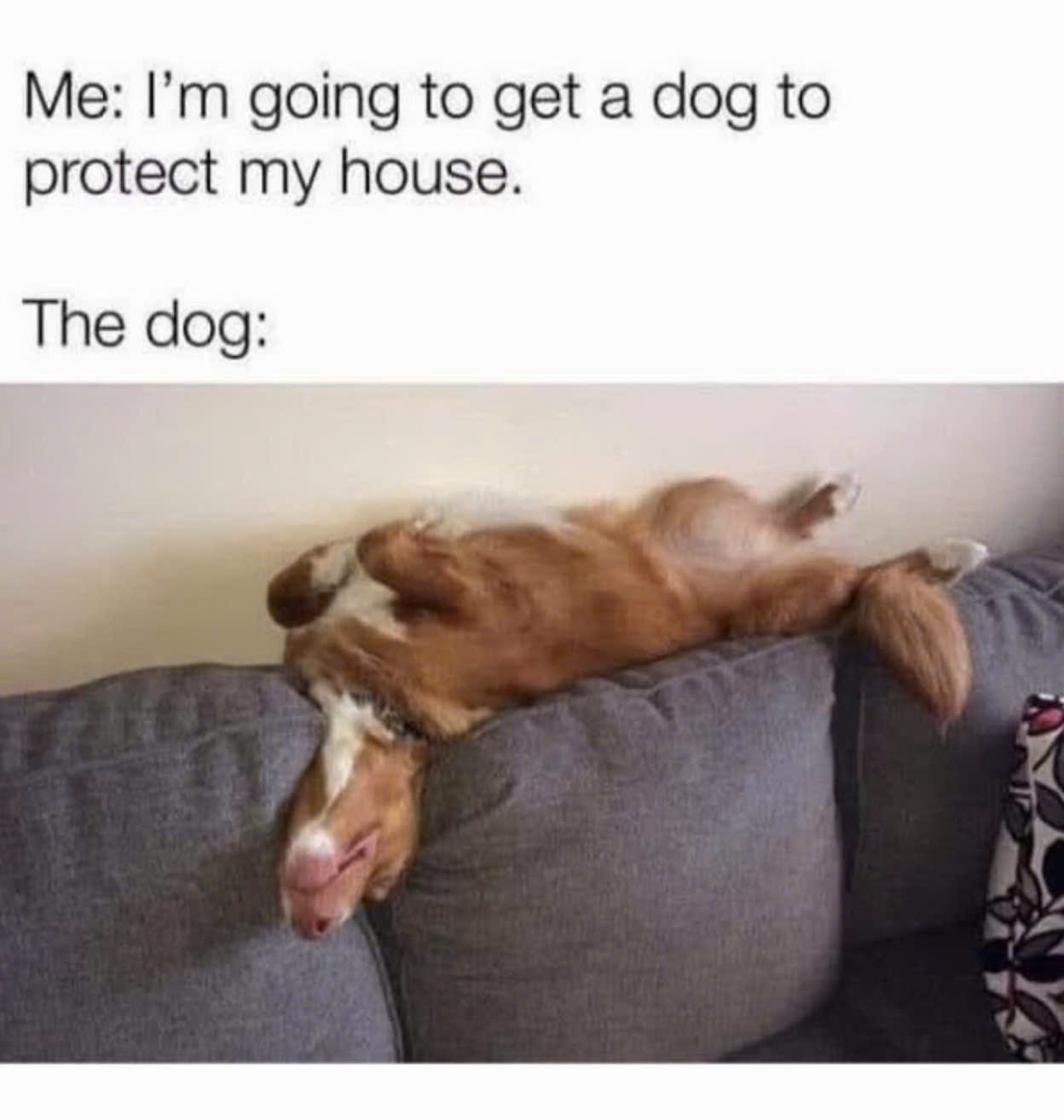 protect.jpeg