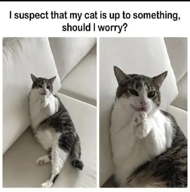 should-i.jpg