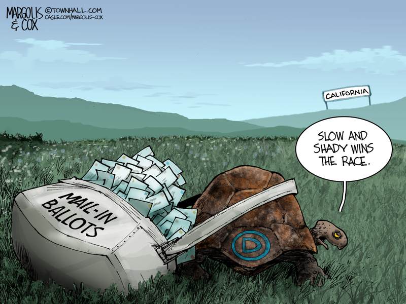 MC-Tortoise-060526-thm-800x0.jpg