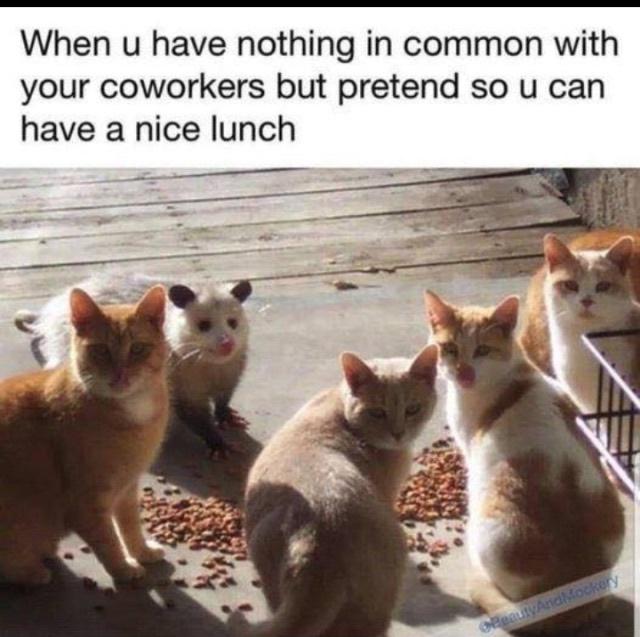 in-common.jpeg