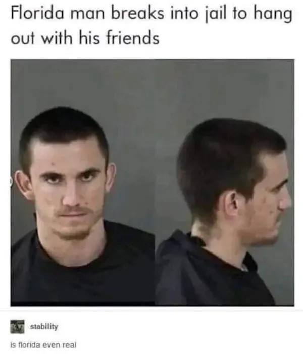 illegal-9.jpg