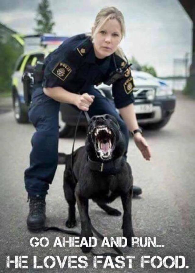 picdump_1178_49.jpg