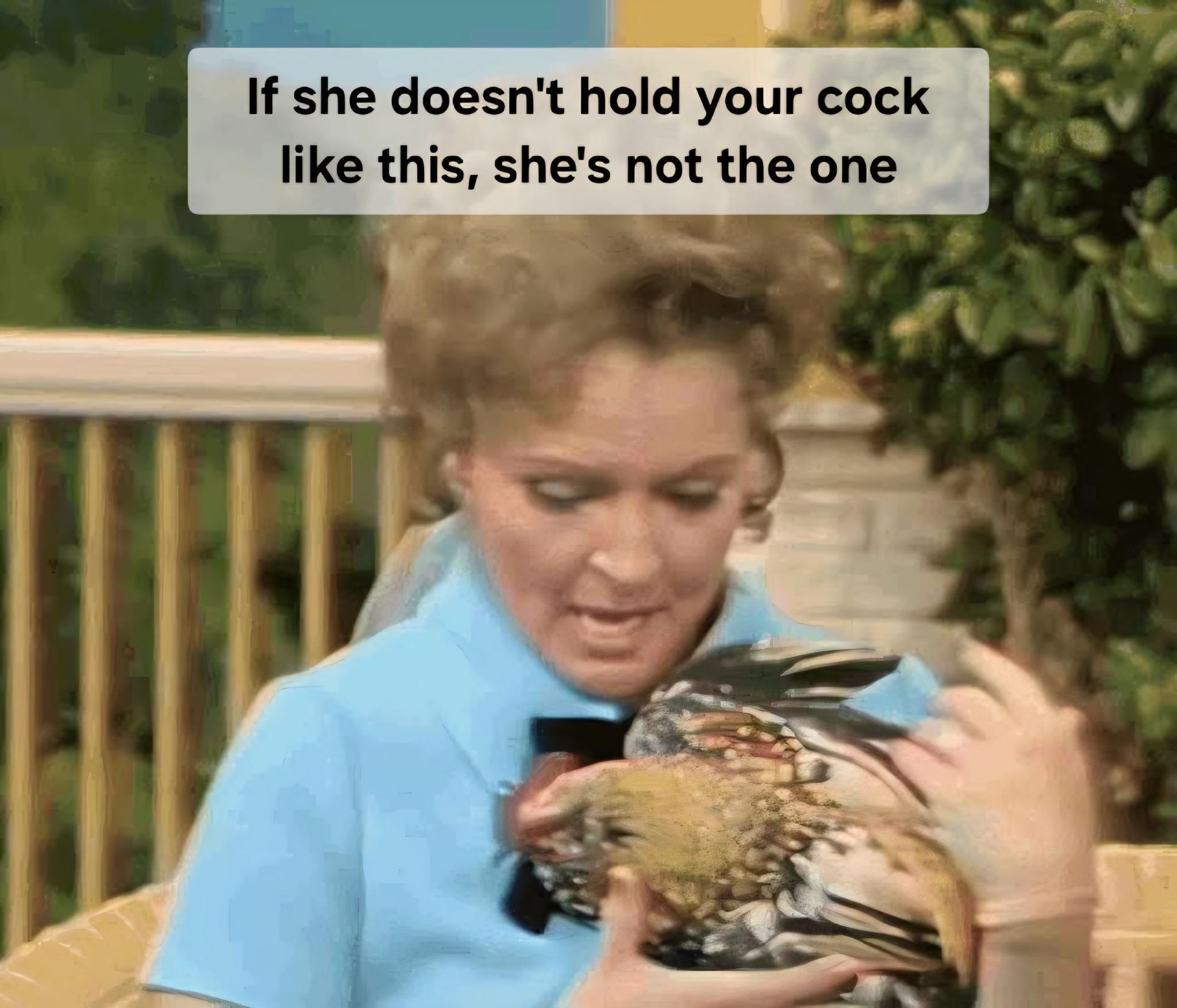 the-one.jpeg