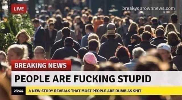 People-are-stupid.jpeg