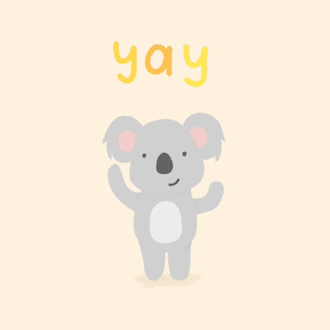 bear yay.gif