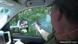 IMG_8844.gif