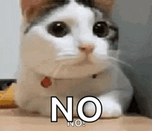 image.gif