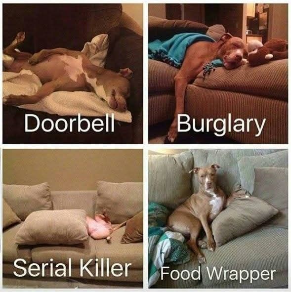 food-wrapper.jpeg