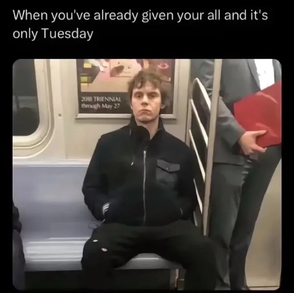 chive12.jpg
