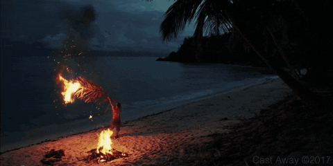 giphy-1183668413.gif
