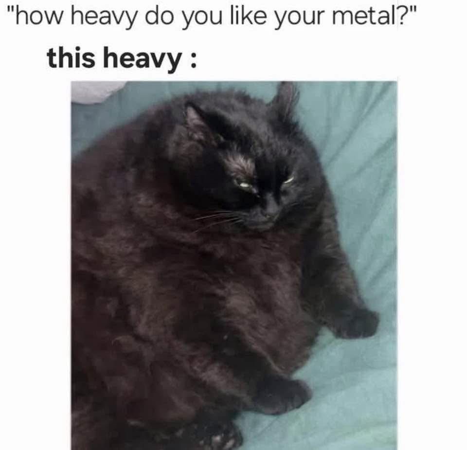 your-metal.jpeg