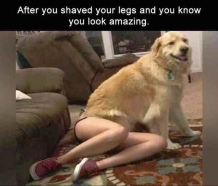 amazing.jpeg