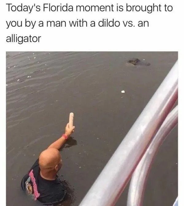 chive24.jpg