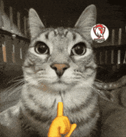 image.gif