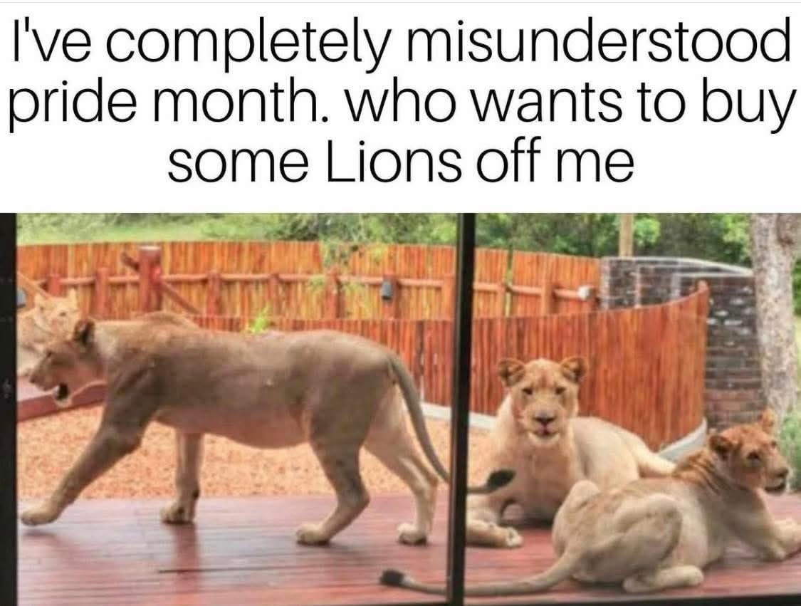 understood.jpeg