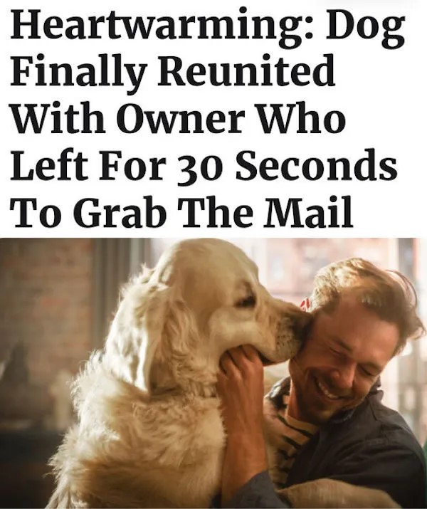DMA_25.jpg